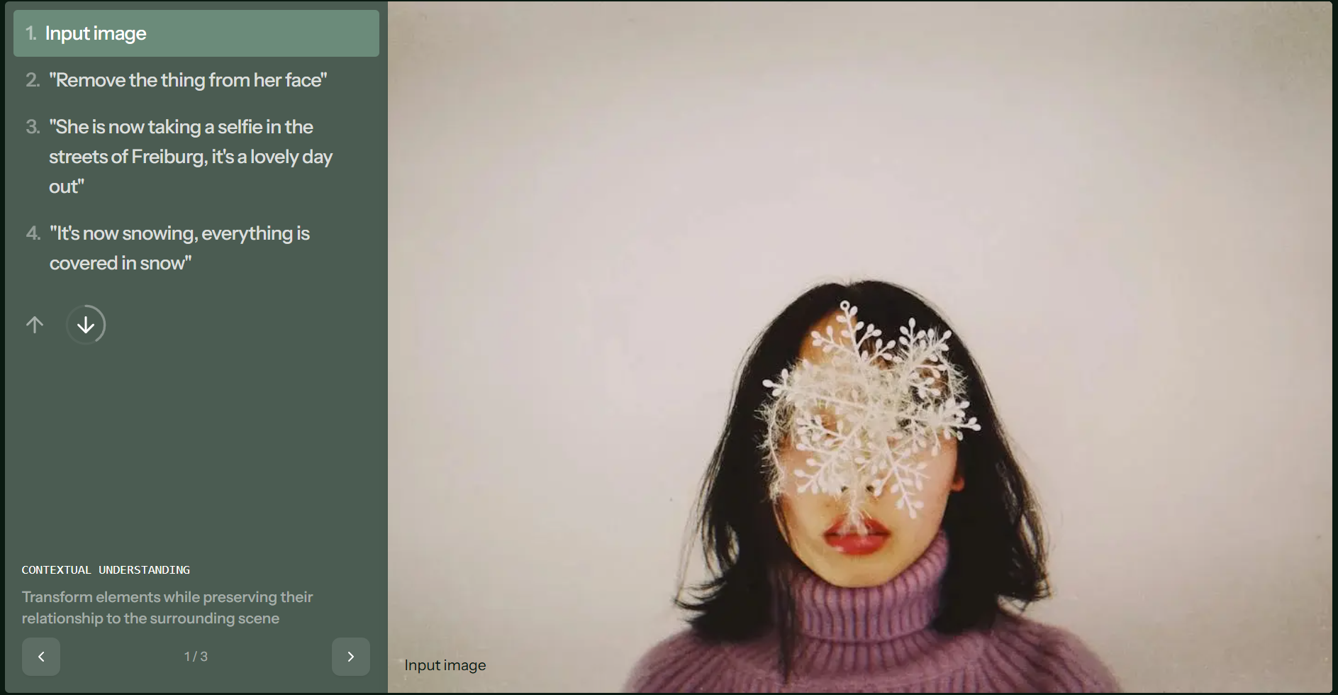 本地使用 FLUX.1 模型（AI 生图）